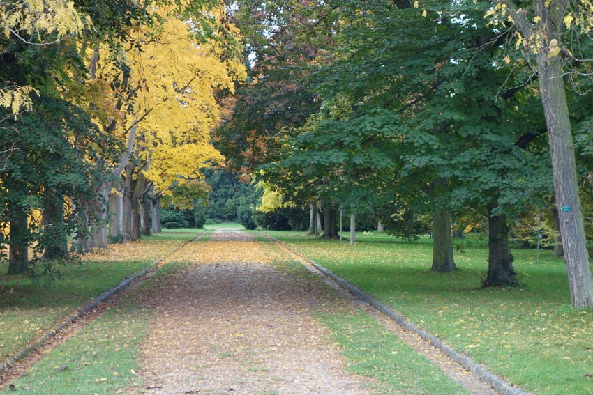 allee arboretumpoursite