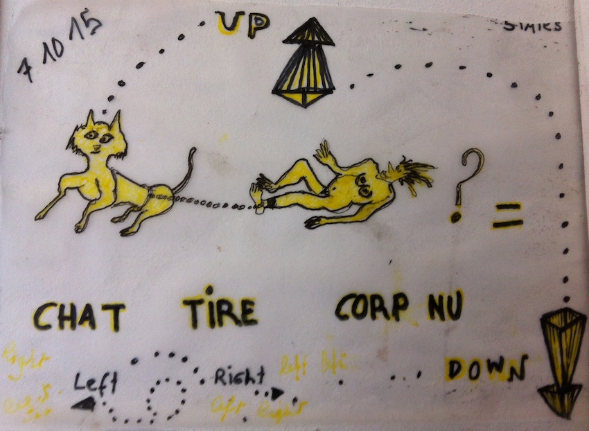chat tire cornu pour site