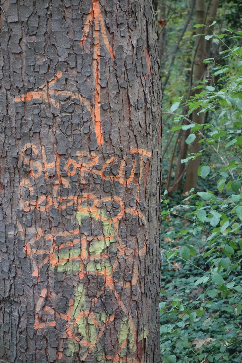 indication sur arbrepoursite