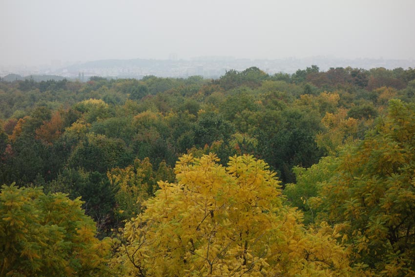 labuttedetirpoursite