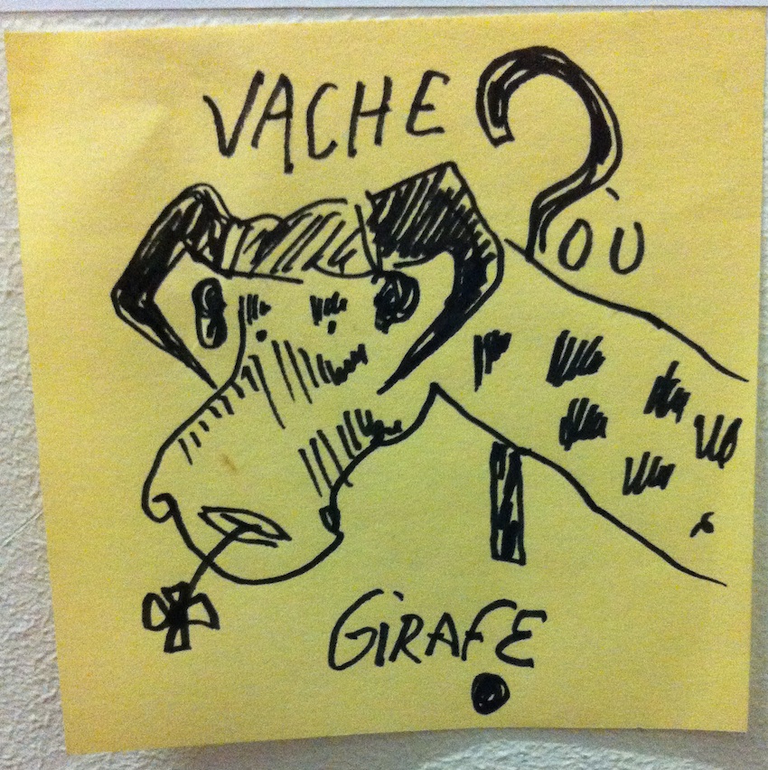 vache ou girafe rogne pour site